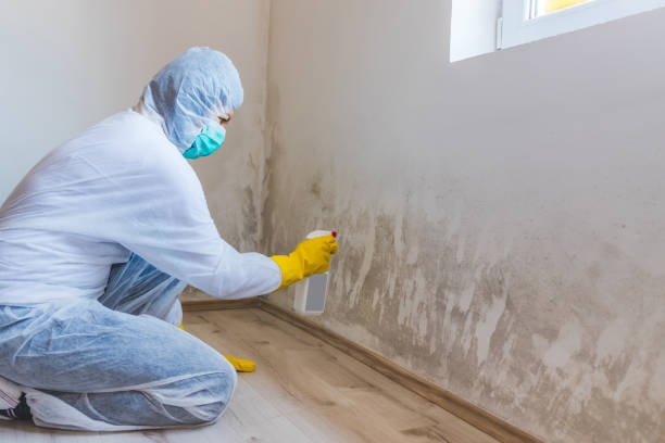 Licensed Commercial Mold Remediation service in Siler City, NC - WQB Mold Removal
