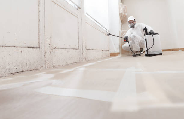 24/7 Emergency Commercial Mold Remediation experts in Siler City, NC