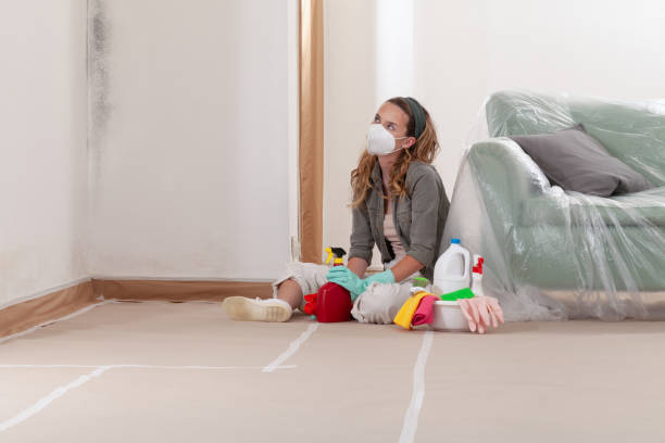 Reliable Commercial Mold Remediation contractor in Siler City, NC by WQB Mold Removal