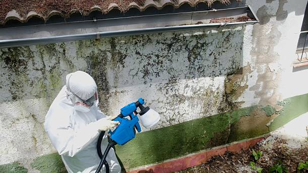 Top rated local Commercial Mold Remediation specialists in Siler City, NC